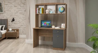 Praqa Kompyuter Masası 