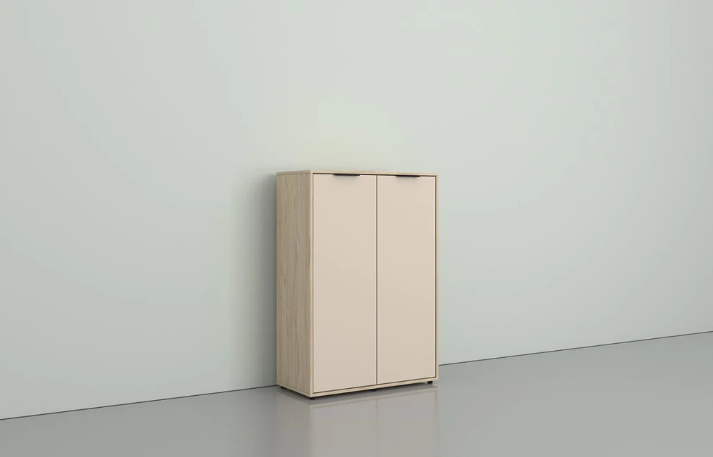 Обувной шкаф REM (AD - 1002)-1