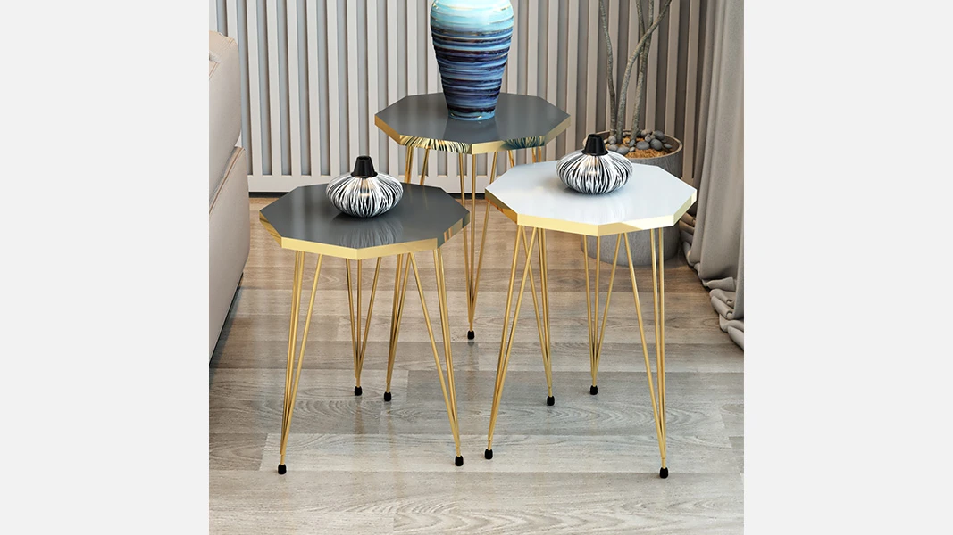 SG 1003 (2 Antrasit + 1 Ağ) Jurnal Masa-1