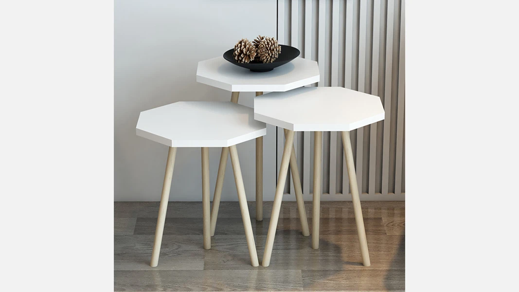 SA 1002 (Ağ) Jurnal Masa-1