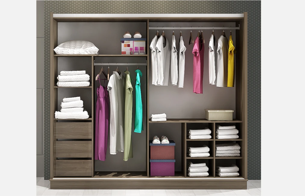 Шкаф-купе Praqa-2