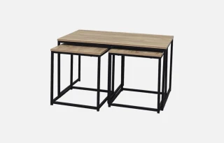 CJ-N2541-M67 (Palıd) Jurnal Masa 