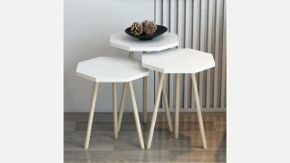 SA 1002 (Ağ) Jurnal Masa