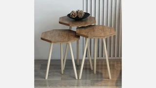 SA 1003 (Antaltik) Jurnal Masa